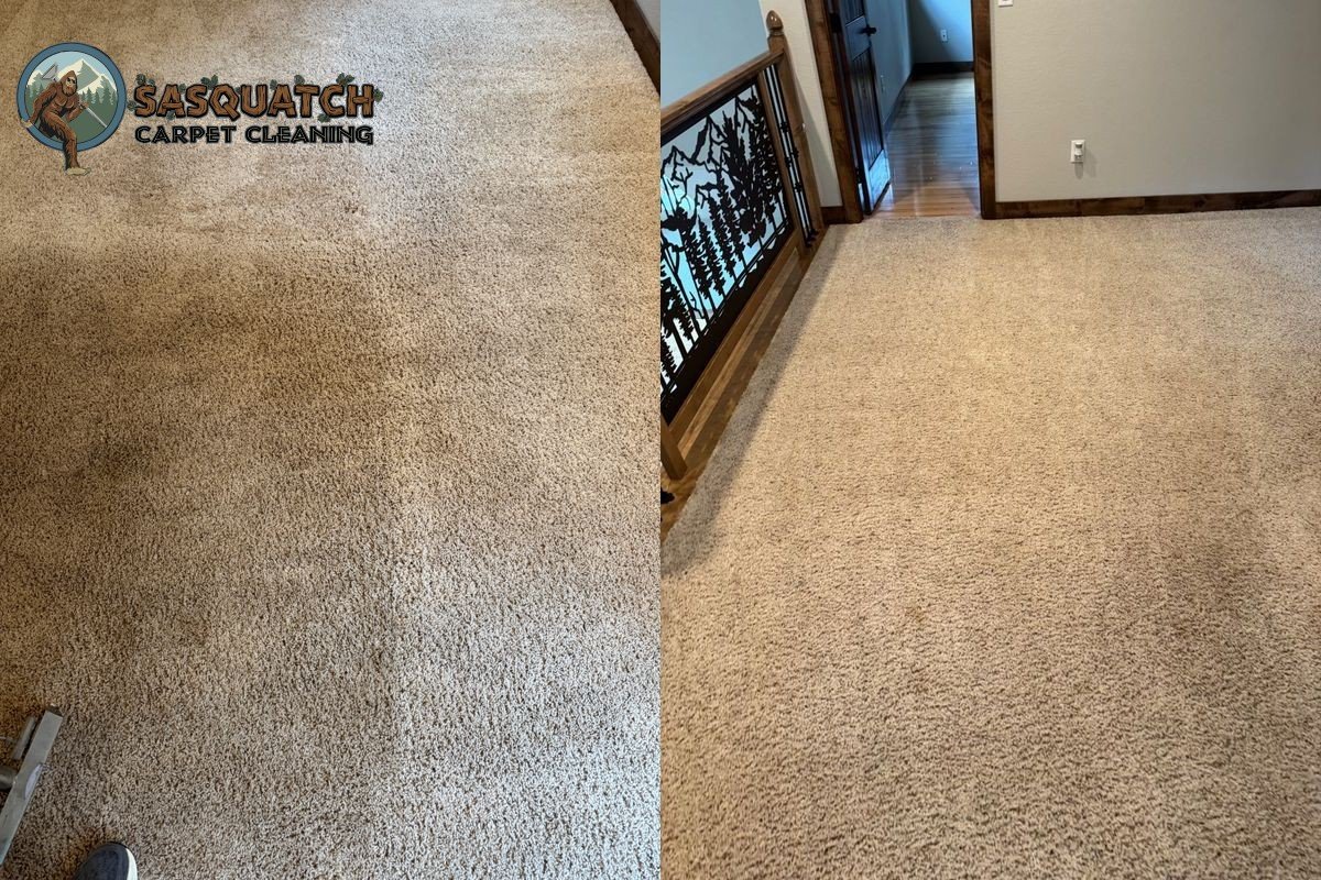 Carpet Cleaning in Colorado Springs