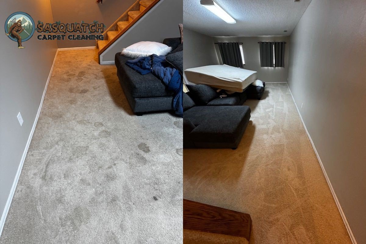 Standard Carpet Cleaning in Colorado Springs