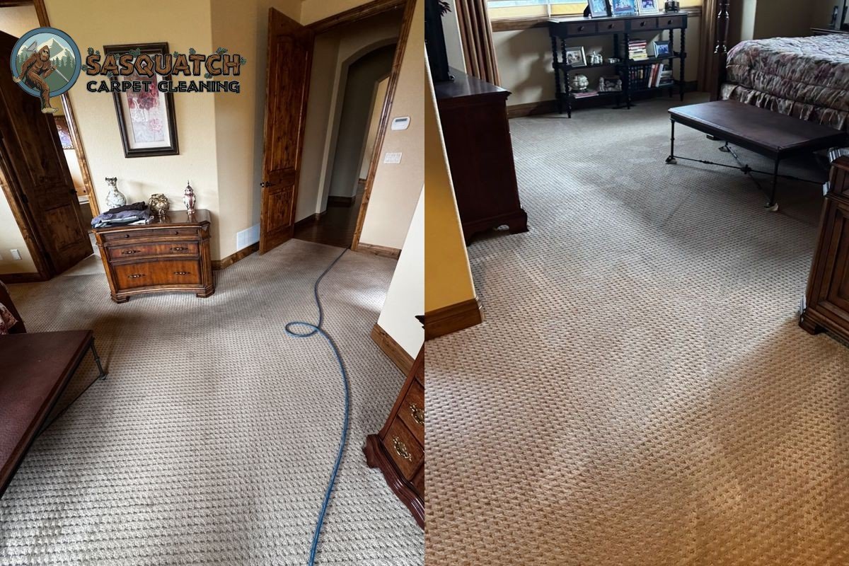 Standard Carpet Cleaning in Colorado Springs