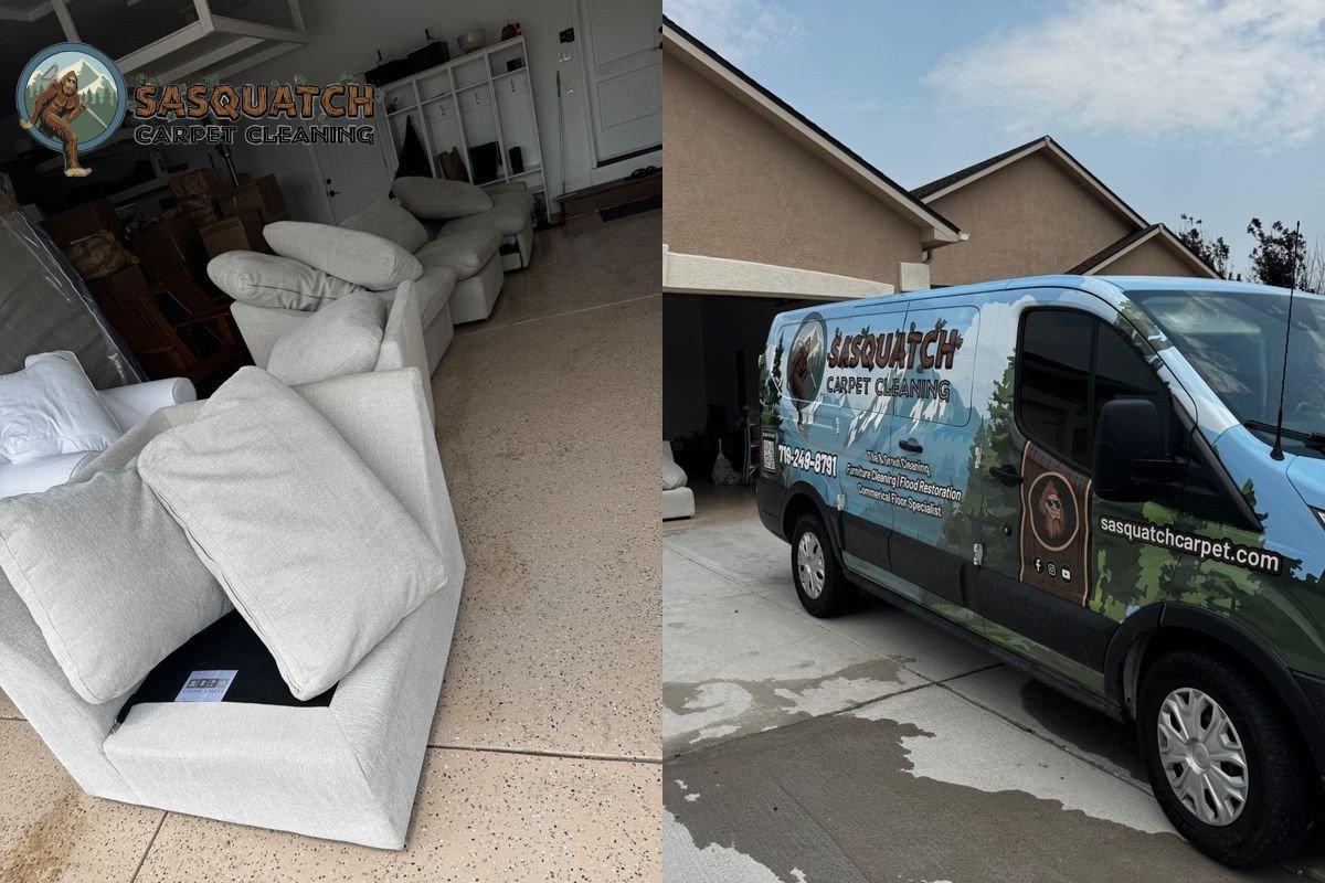 Standard Carpet Cleaning in Colorado Springs