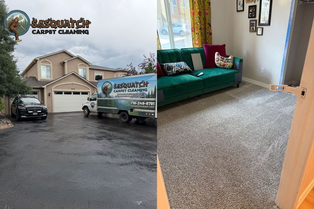 Standard Carpet Cleaning in Colorado Springs