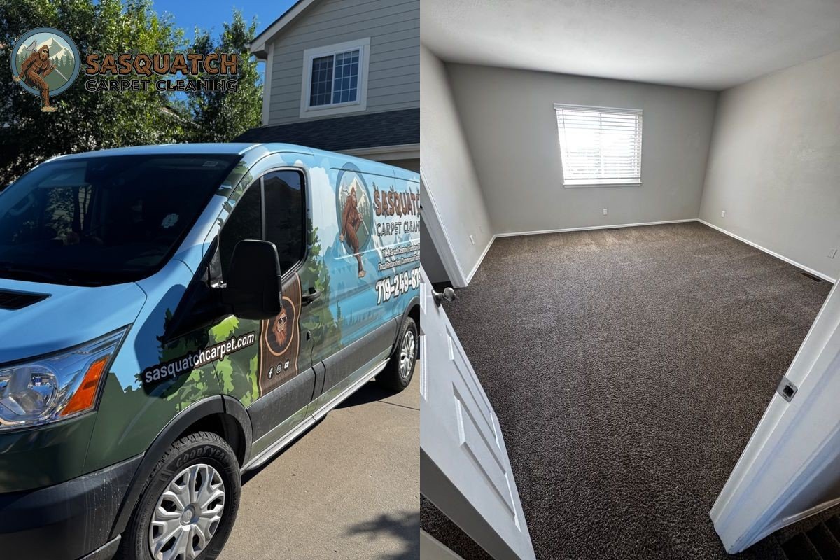 Standard Carpet Cleaning in Colorado Springs