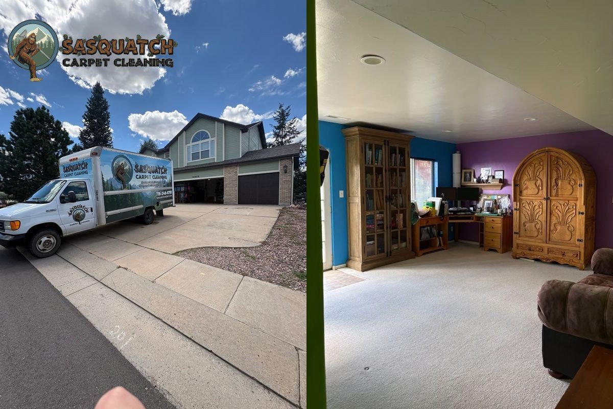 Standard Carpet Cleaning in Colorado Springs