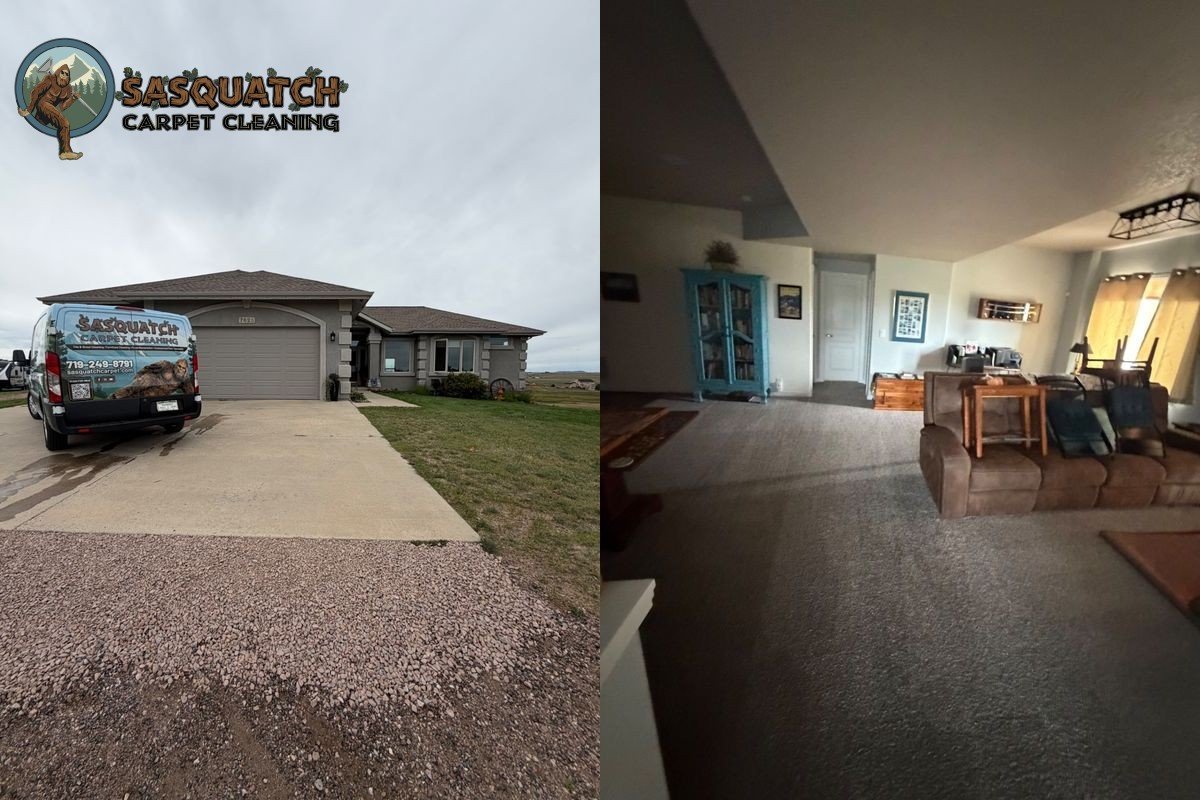 Standard Carpet Cleaning in Colorado Springs