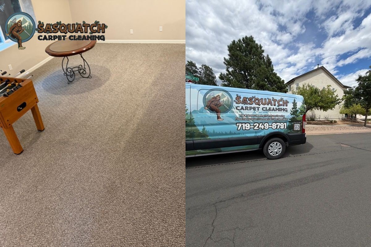 Standard Carpet Cleaning in Colorado Springs