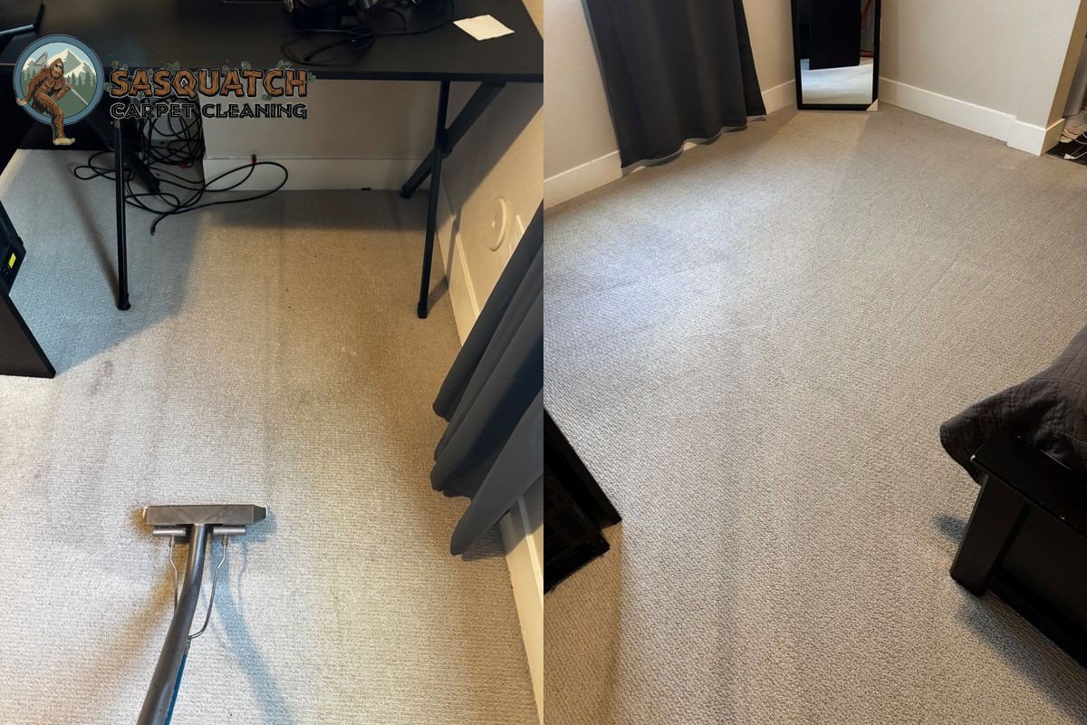 Standard Carpet Cleaning in Colorado Springs