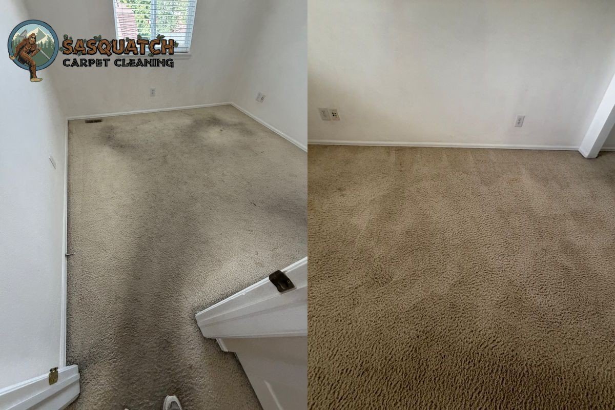 Standard Carpet Cleaning in Colorado Springs