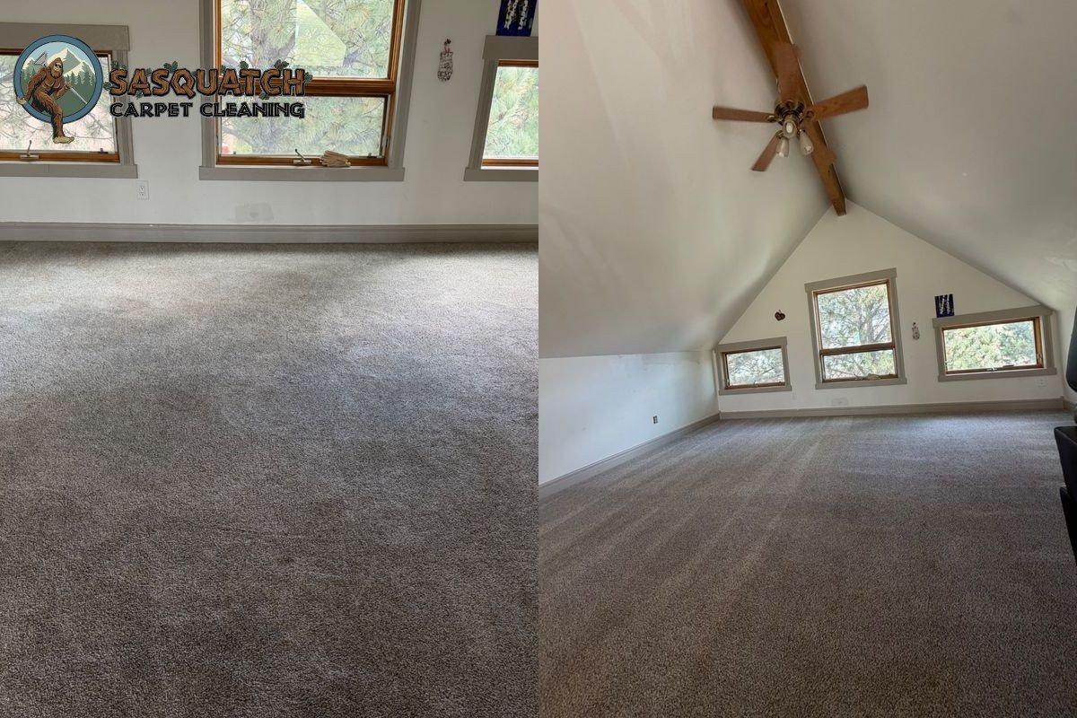 Standard Carpet Cleaning in Colorado Springs