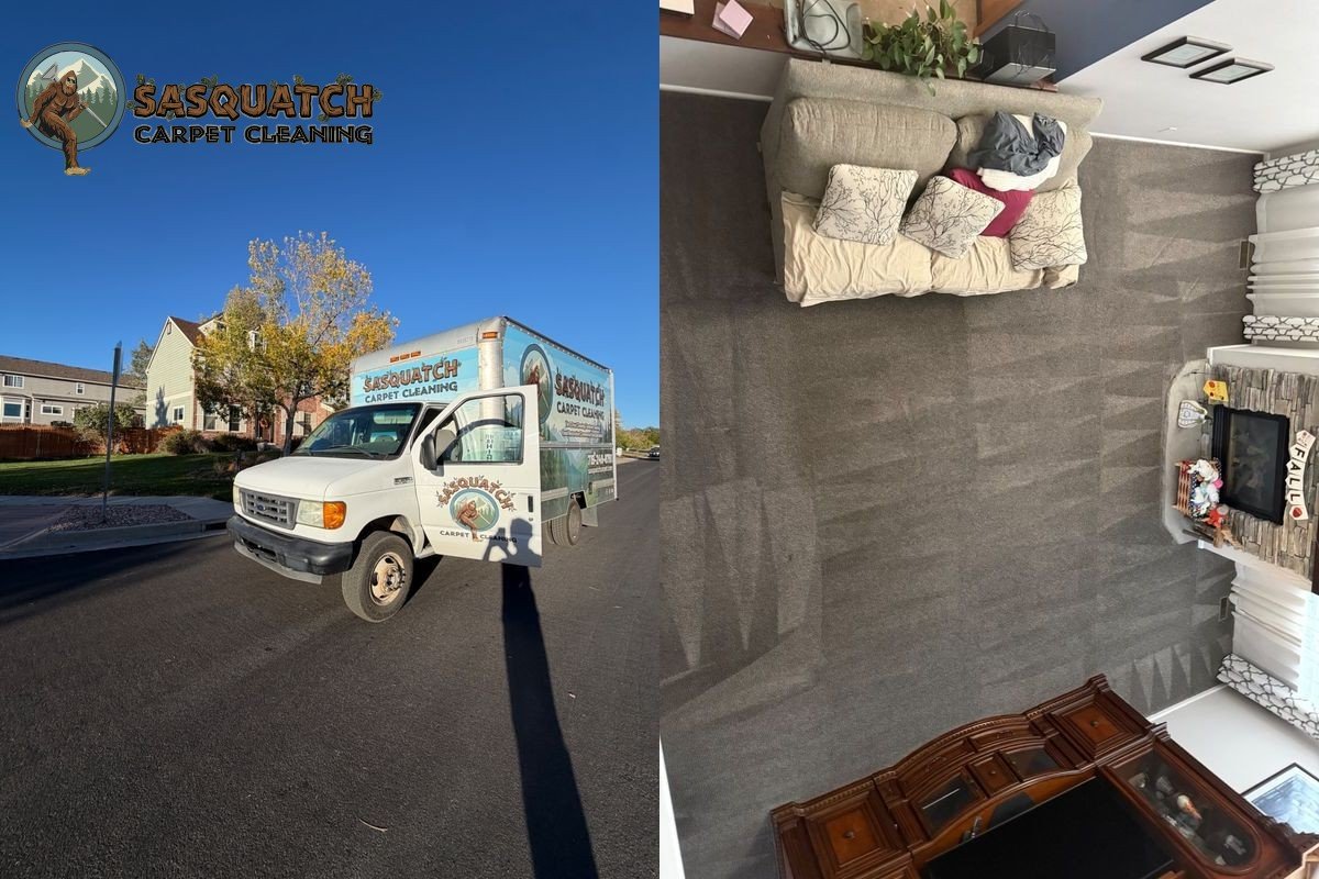 Standard Carpet Cleaning in Colorado Springs