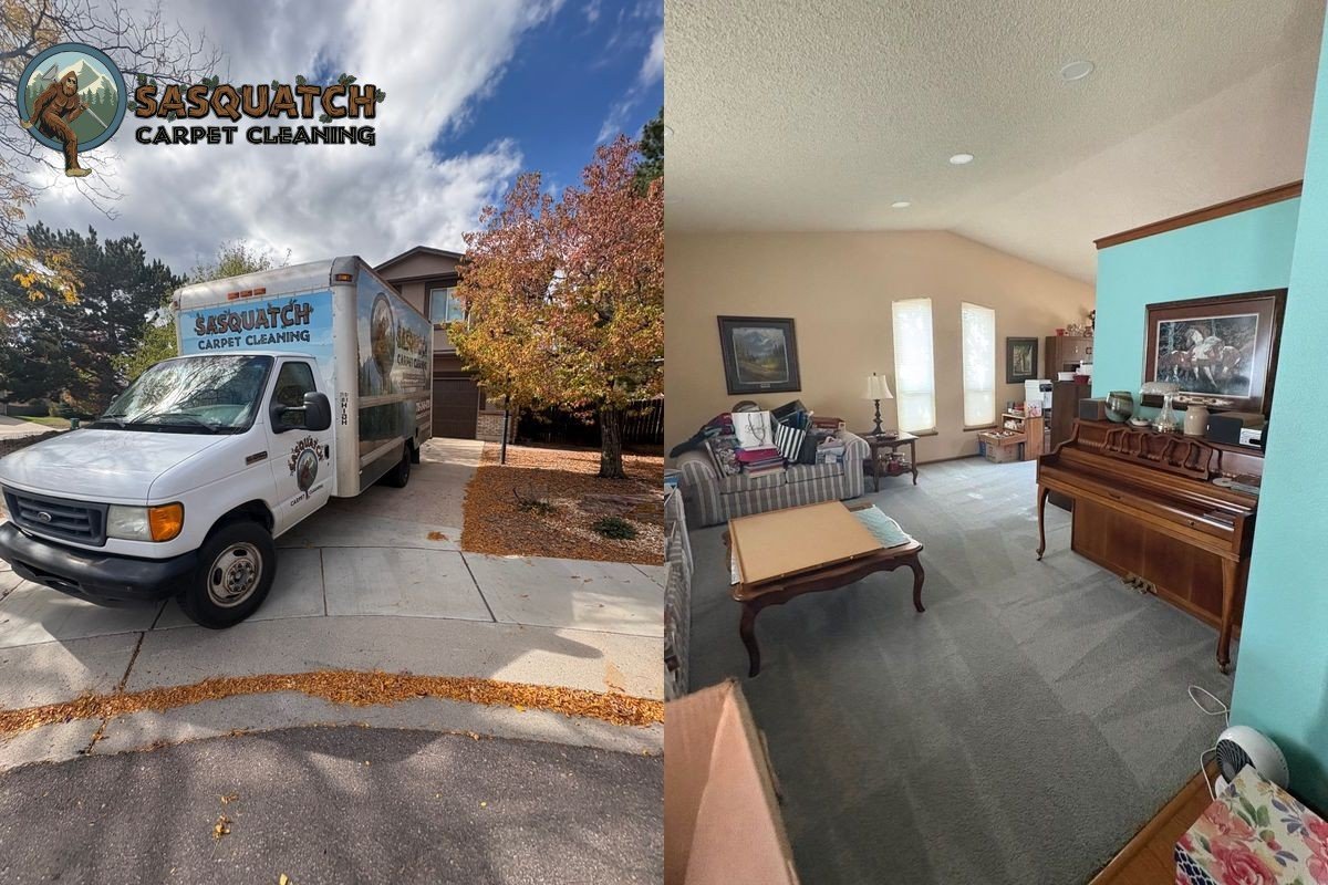 Standard Carpet Cleaning in Colorado Springs