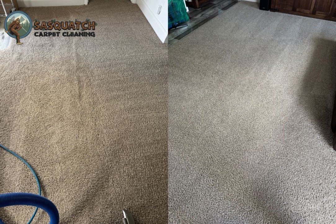 Carpet Cleaning in Colorado Springs