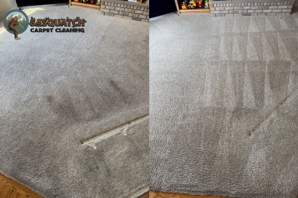 Carpet Cleaning in Gleneagle