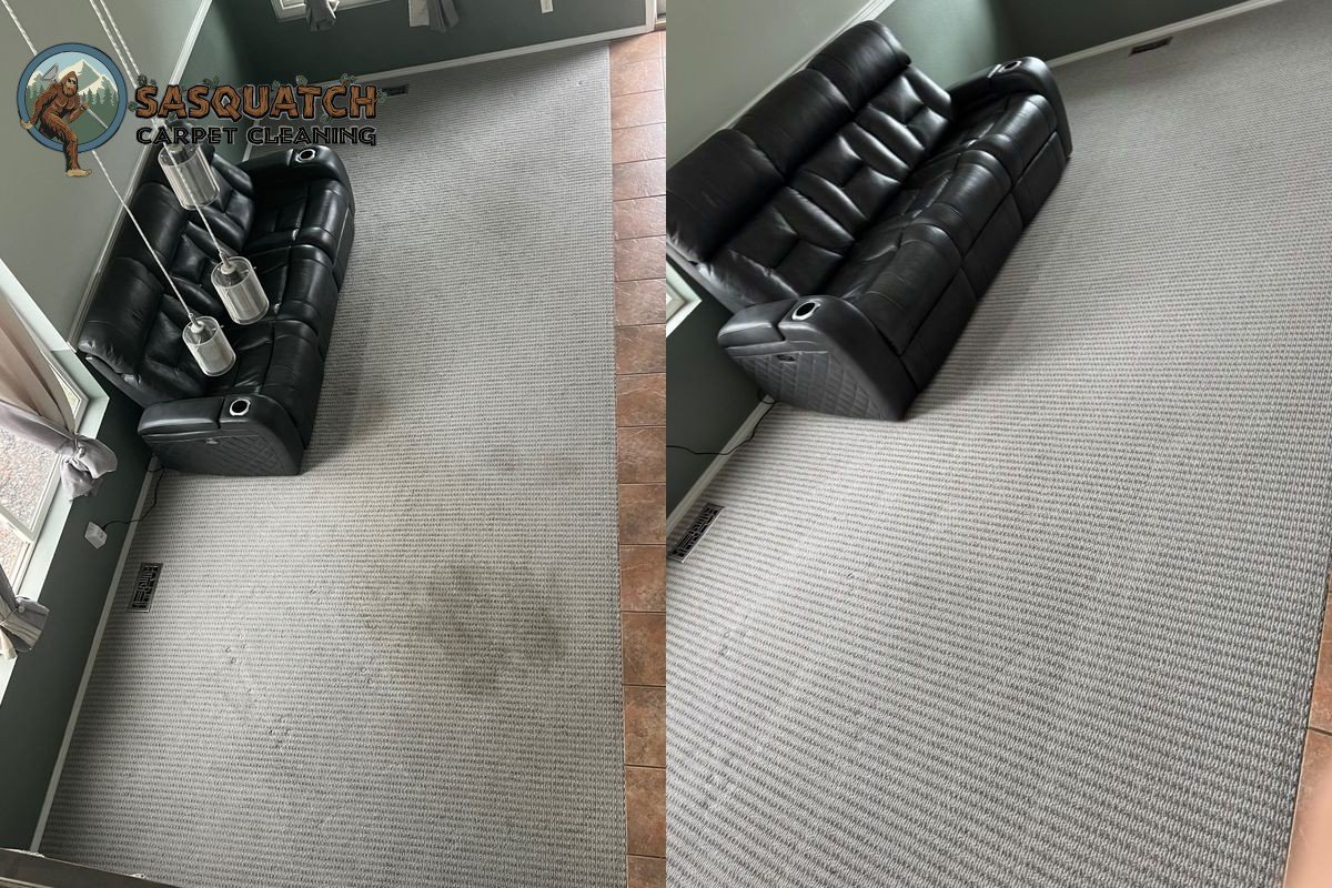Carpet Cleaning in Monument