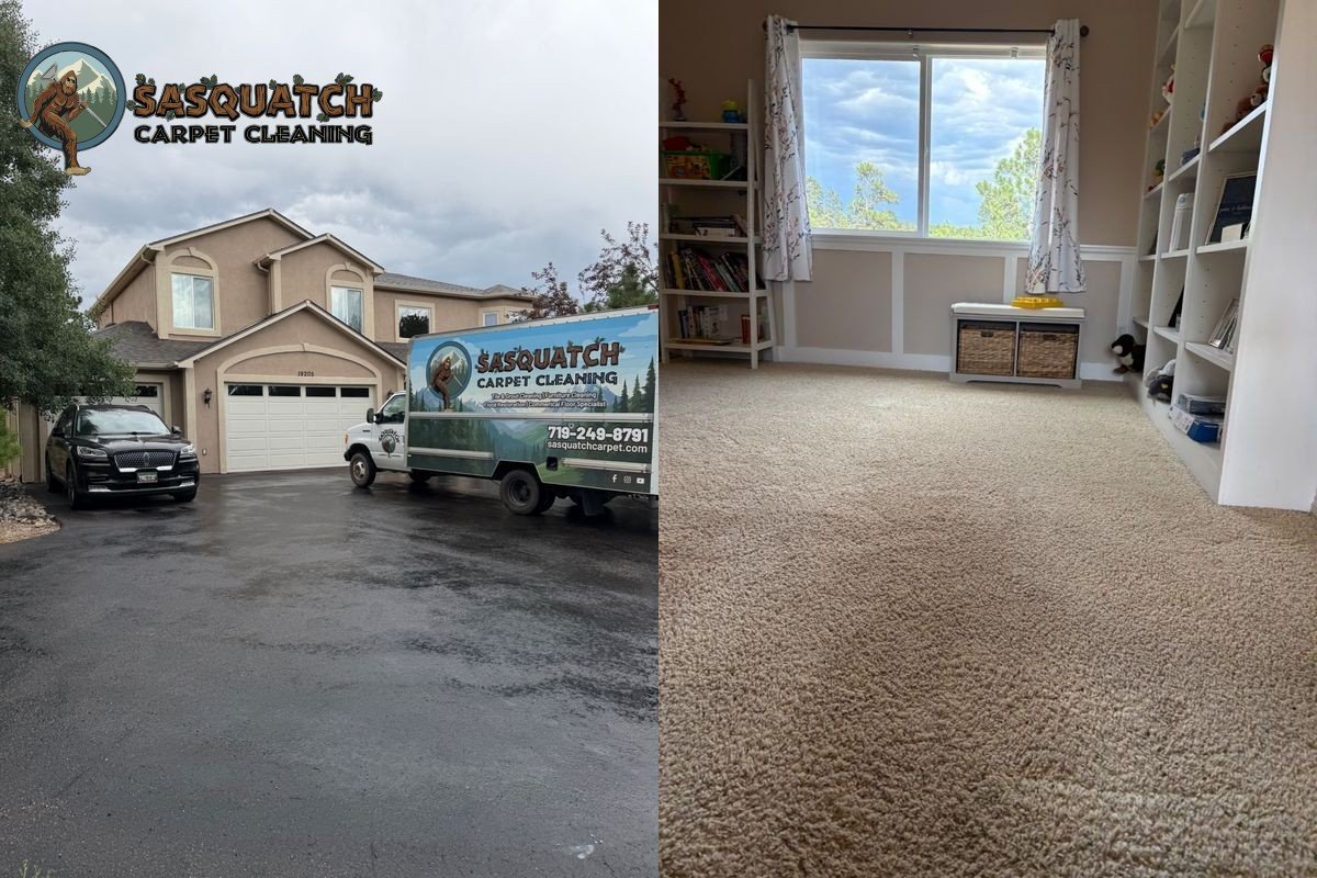 Standard Carpet Cleaning in Monument