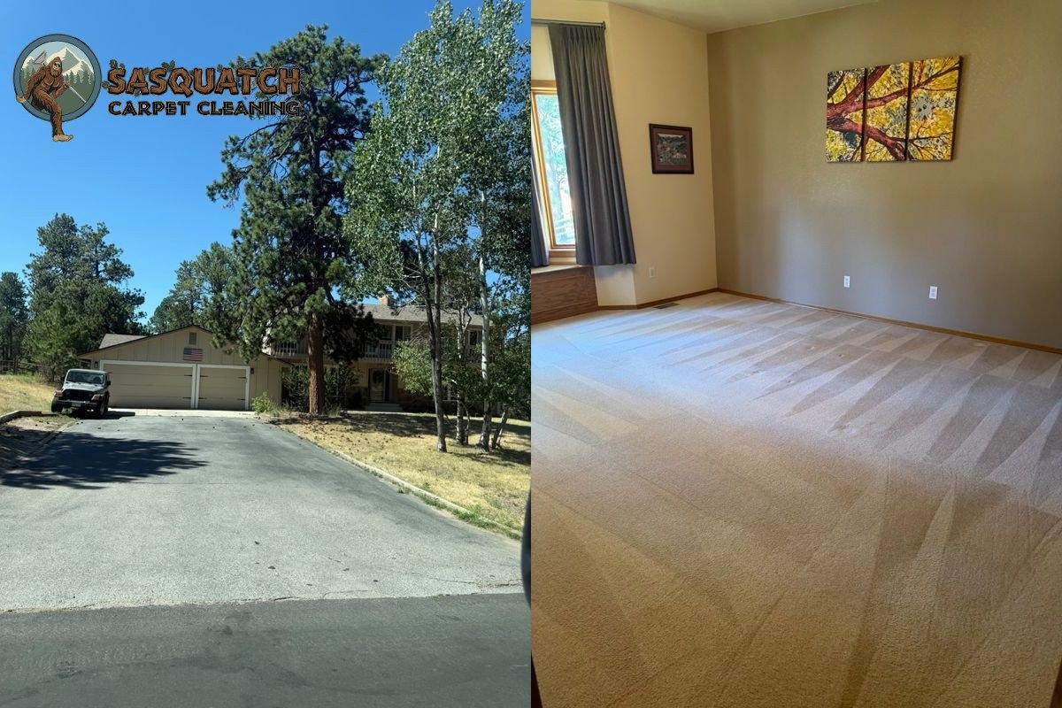 Standard Carpet Cleaning in Monument