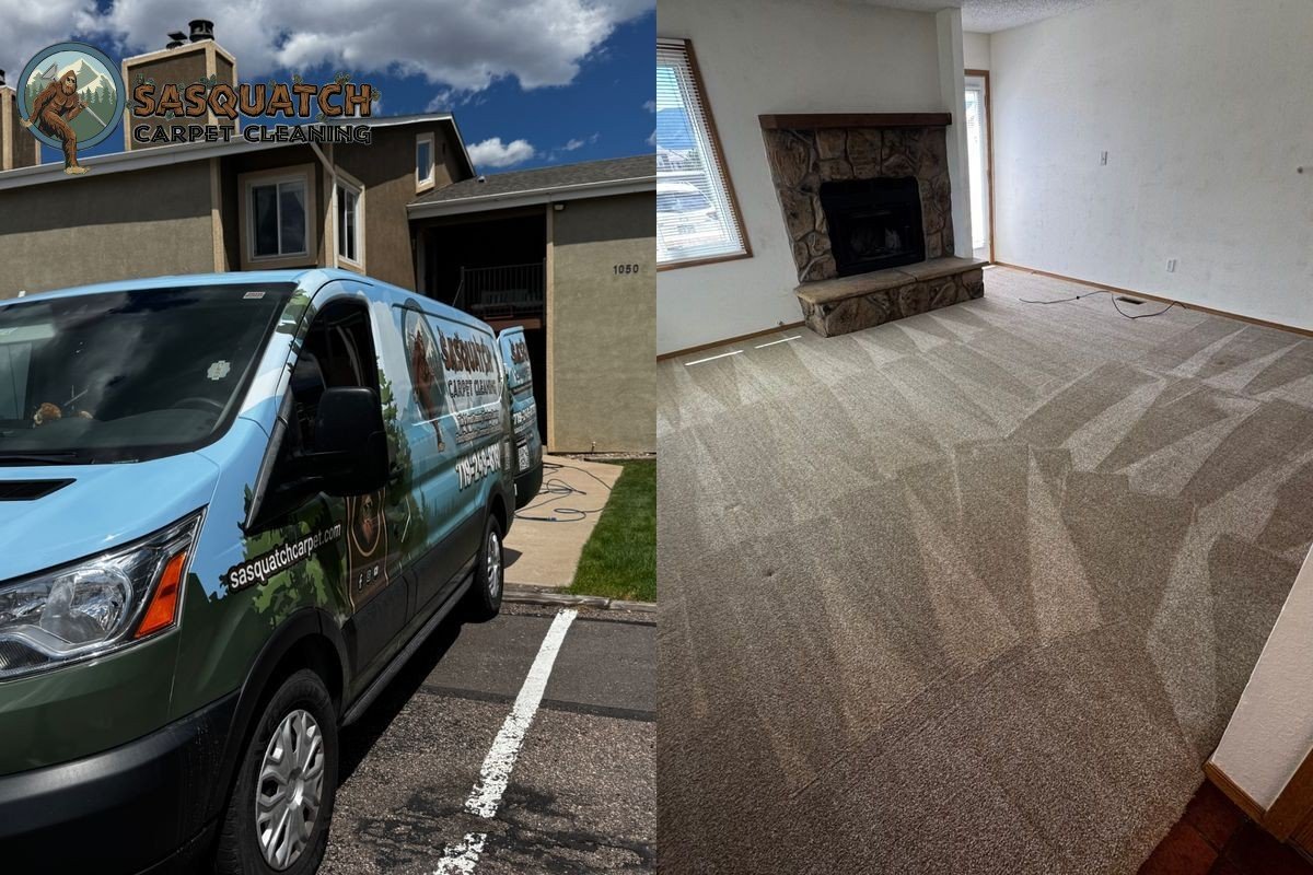 Standard Carpet Cleaning in Monument