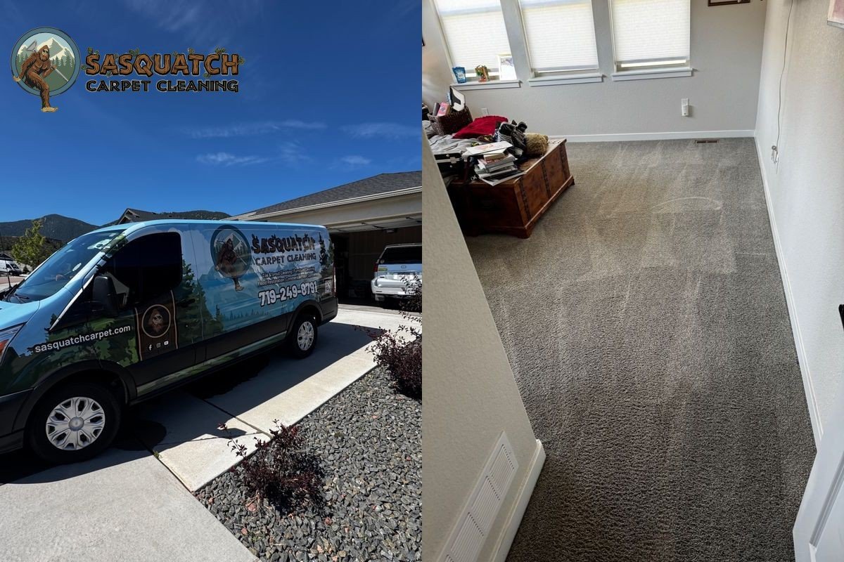 Standard Carpet Cleaning in Monument
