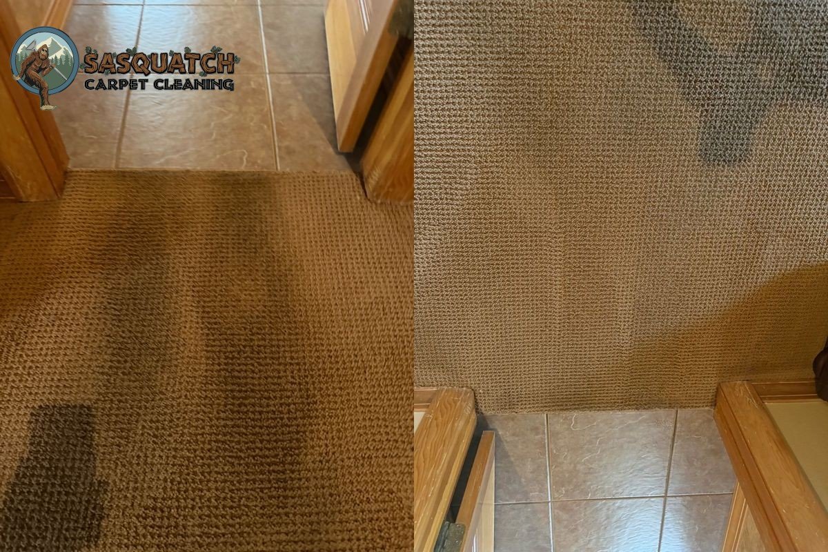 Standard Carpet Cleaning in Monument