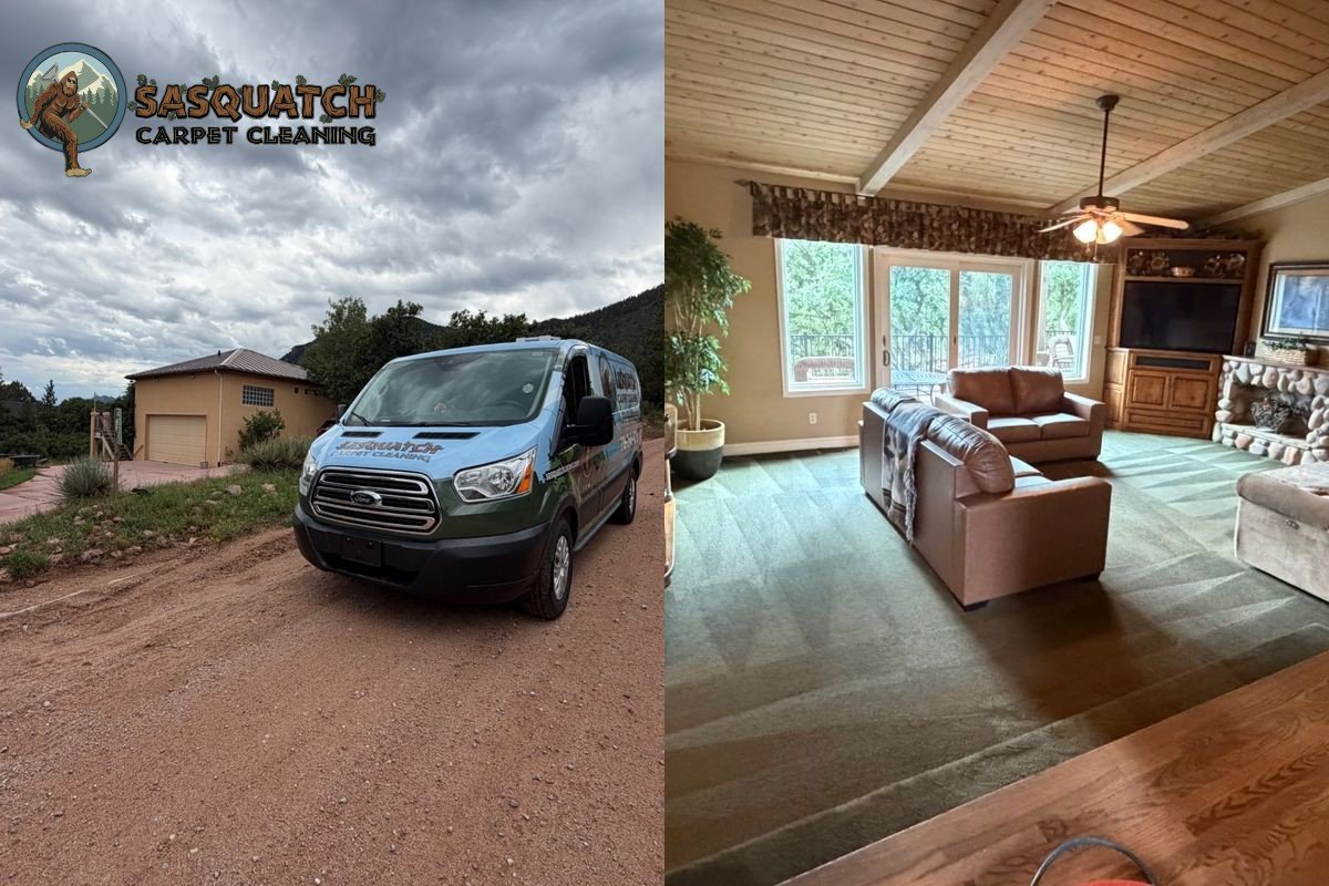 Standard Carpet Cleaning in Monument