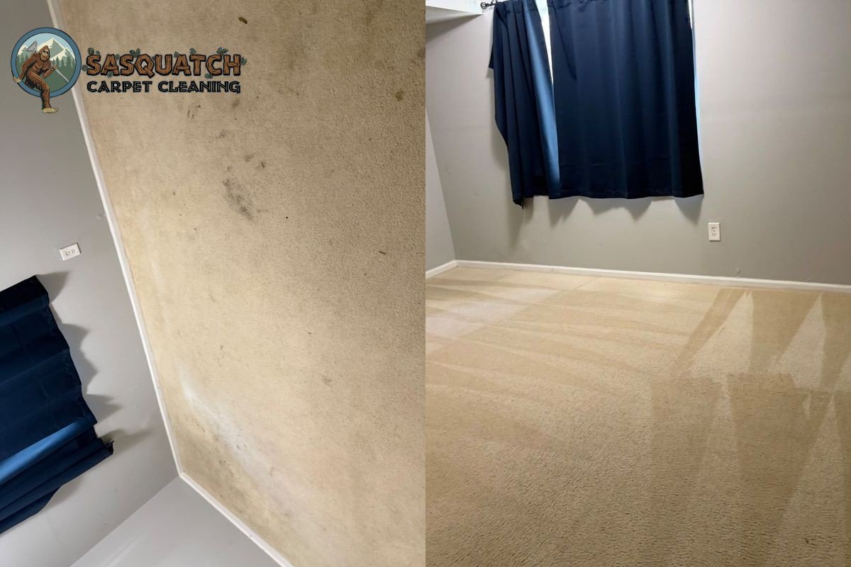 Standard Carpet Cleaning in Monument