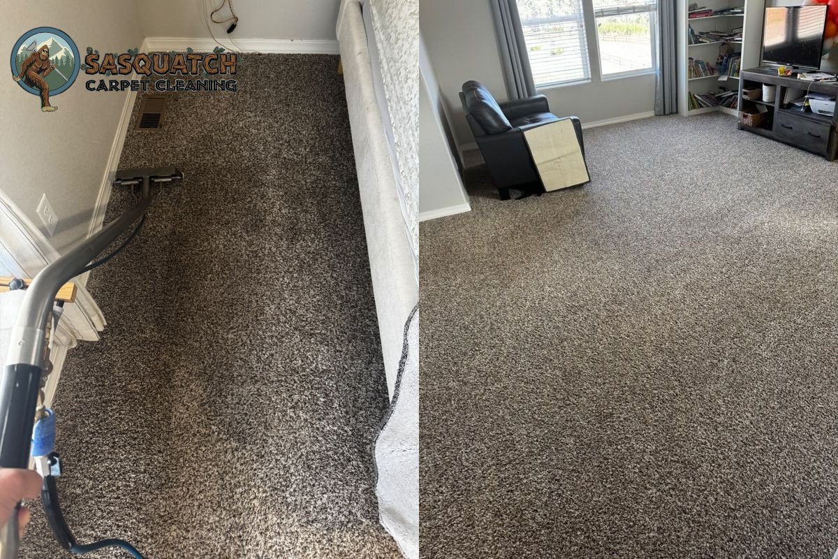 Standard Carpet Cleaning in Monument
