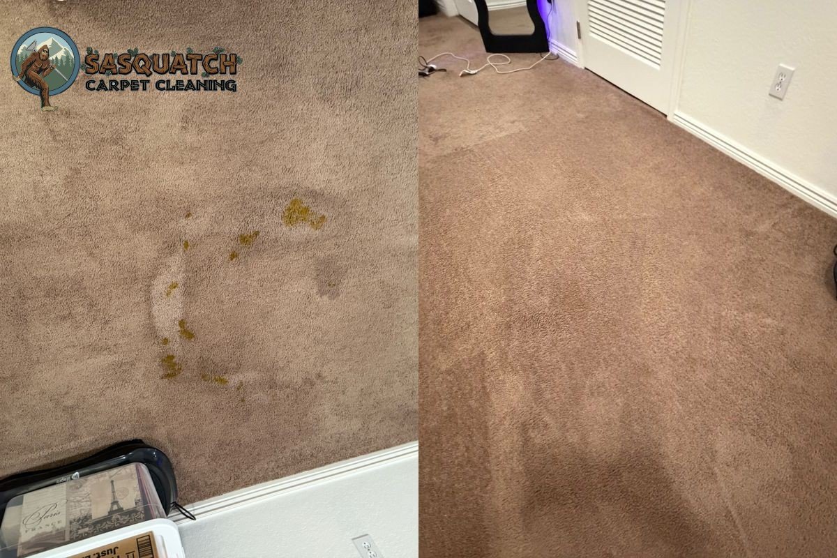 Standard Carpet Cleaning in Monument