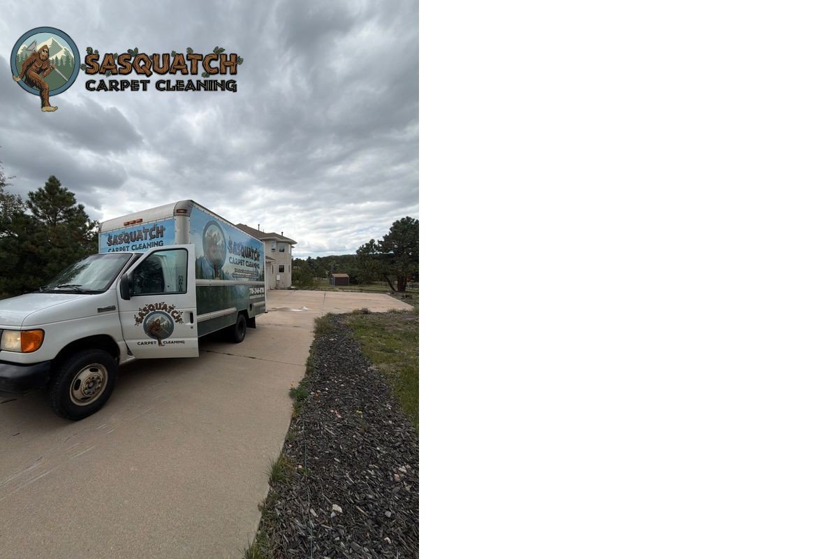 Standard Carpet Cleaning in Monument