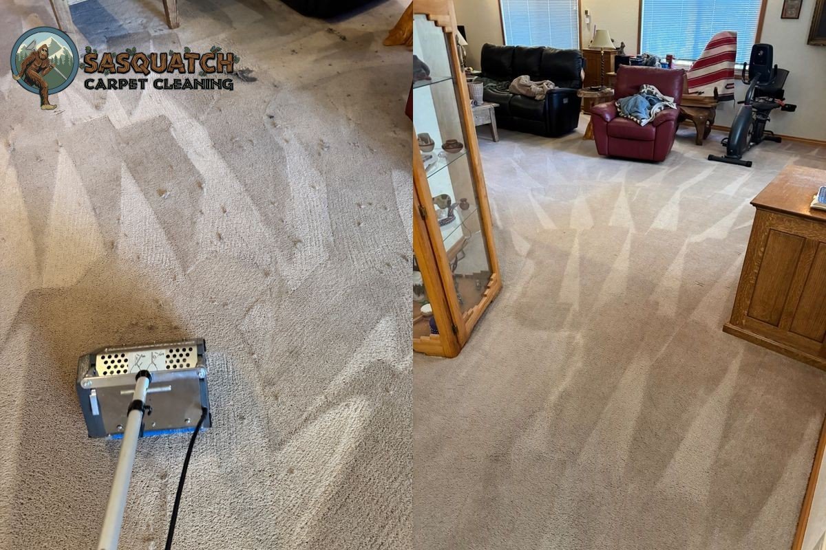 Standard Carpet Cleaning in Monument