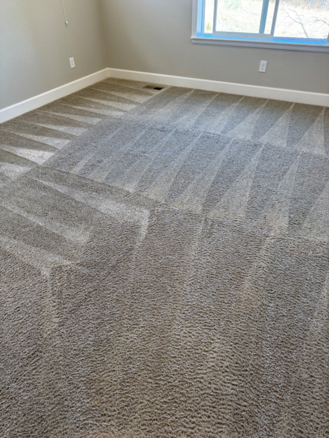 Carpet Cleaning in Monument