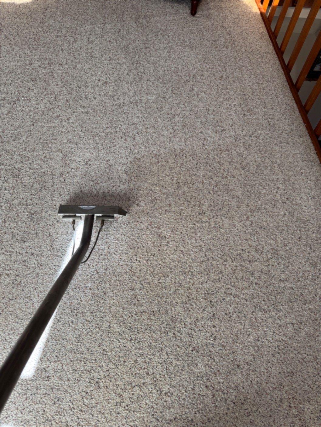 Carpet Cleaning in Monument
