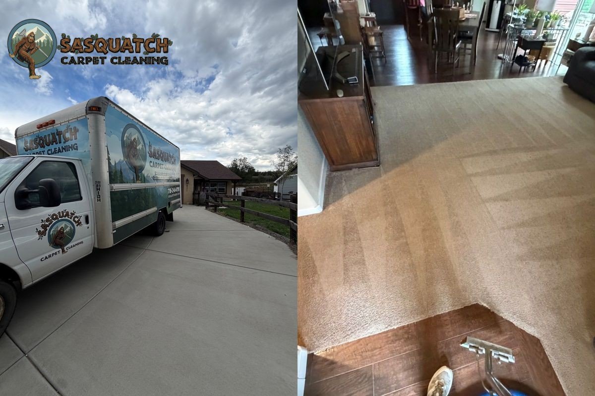 Standard Carpet Cleaning in Palmer Lake