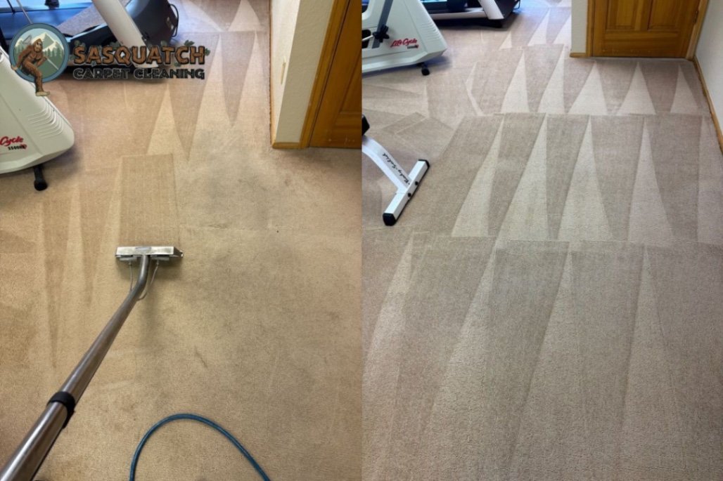 Carpet Cleaning in Tri-Lakes Area