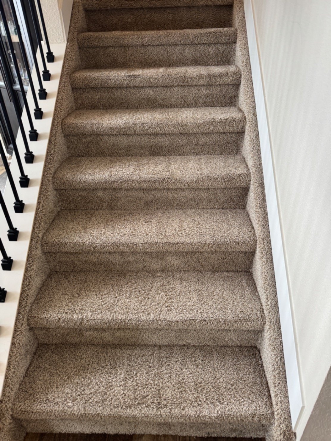 Carpet Cleaning in Tri-Lakes Area