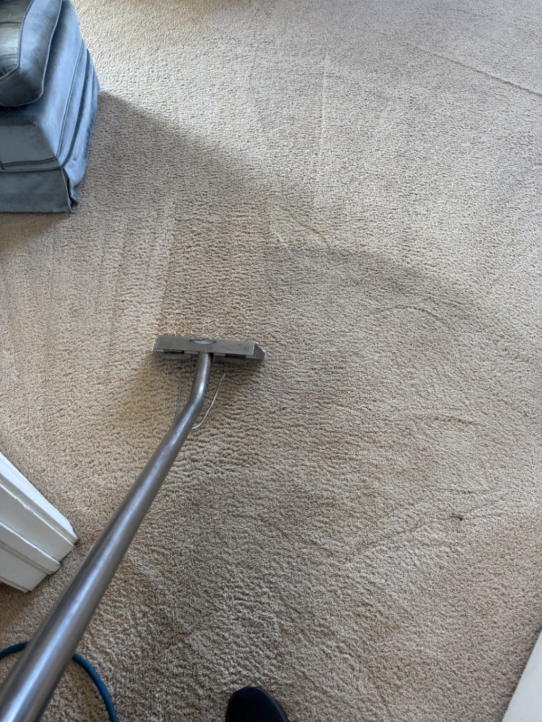 Standard Carpet Cleaning in Woodmoor