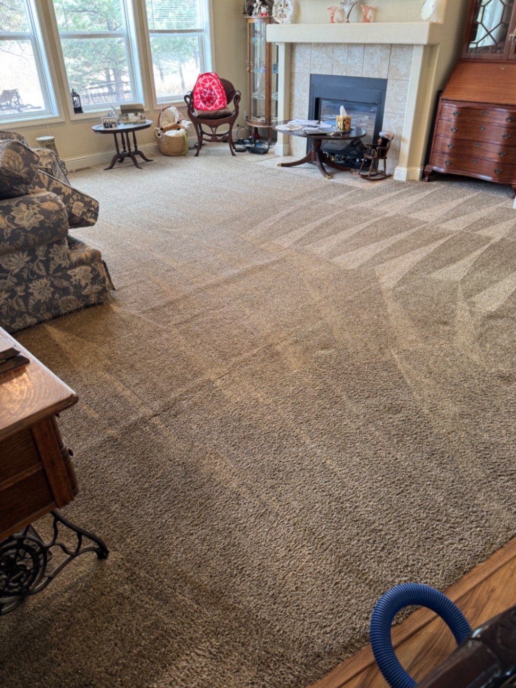 Carpet Cleaning in Tri-Lakes Area